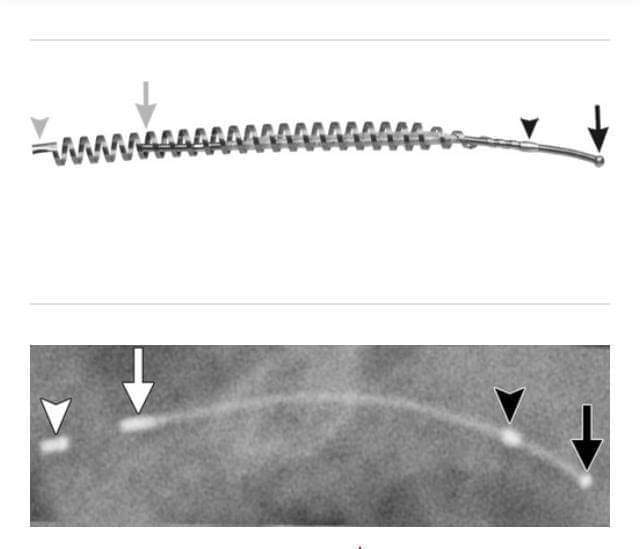 Ilustración de autoría desconocida